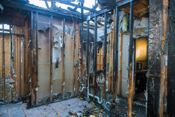 Professional Fire Damage Removal technician working in Frisco City, AL